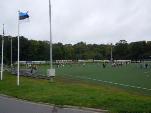 kalev